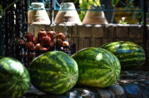 农村瓜地吃瓜50字,农村夏日里的50字吃瓜记