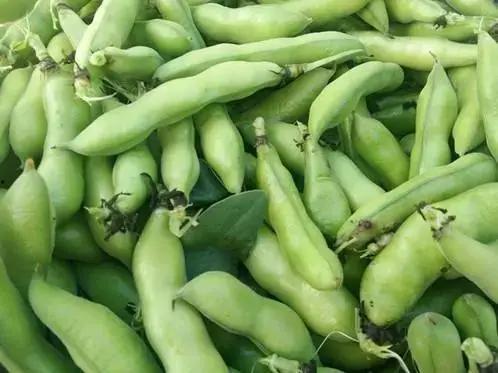 弥勒吃瓜不触发,笑看世间繁华