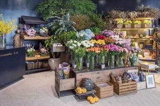 爱神花店老板吃瓜,爱神花店老板的瓜田奇遇记