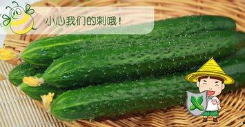 三六六吃瓜,揭秘娱乐圈那些不为人知的幕后故事