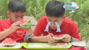 小鬼现场吃瓜,揭秘娱乐圈幕后真相