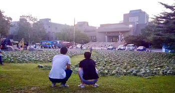 巴州吃瓜事件,一场引发社会热议的“瓜农维权”风波