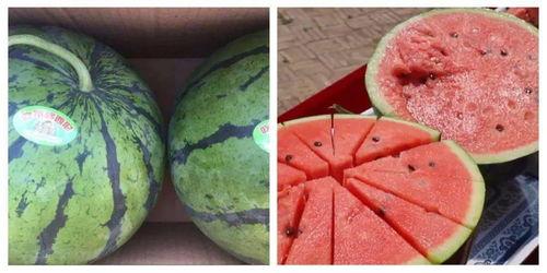 学习吃瓜的视频,从吃瓜视频看网络文化的演变与影响