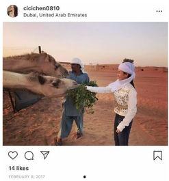 吃玉环小三瓜,探寻美食与文化的完美融合