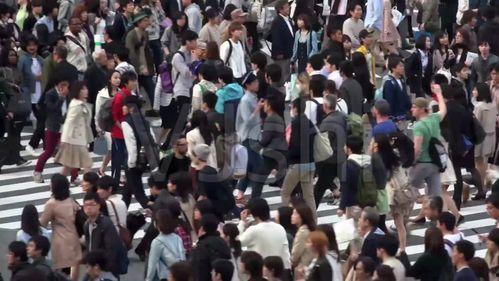 女子跳河在警局吃瓜,警局内外的“吃瓜”众生相