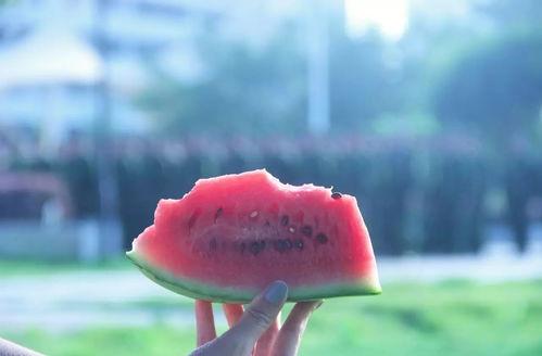 安静吃瓜图文,品味生活百态