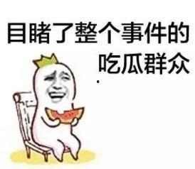吃瓜群众小鲁,揭秘娱乐圈那些事儿