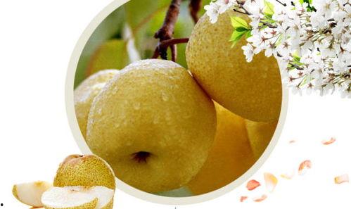 经常吃淮南酥瓜,酥瓜飘香，舌尖上的乡愁