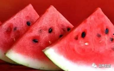 90吃瓜,揭秘娱乐圈幕后真相