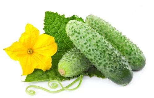 李茶茶吃瓜系统,揭秘娱乐圈幕后真相