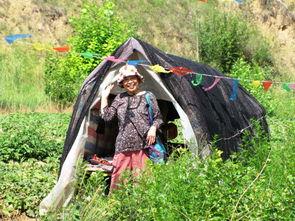 榆林吃瓜,一场吃瓜盛宴背后的故事与启示