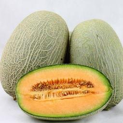 哈密瓜天天吃,健康生活每一天