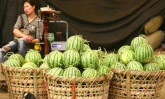 上海最新吃瓜热门事件,揭秘网络热议事件背后的真相