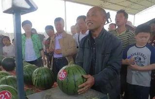 孝义义服吃瓜,一场别开生面的吃瓜盛宴