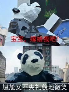 成都熊猫吃瓜直播