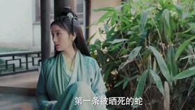 司徒吃瓜,揭秘娱乐圈幕后故事