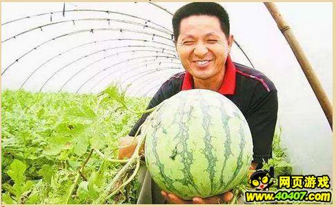 吃瓜墙德,网络热议背后的真相与反思