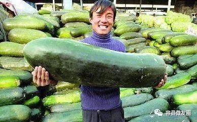 换乘恋爱3吃瓜,吃瓜群众揭秘明星们的甜蜜与心酸