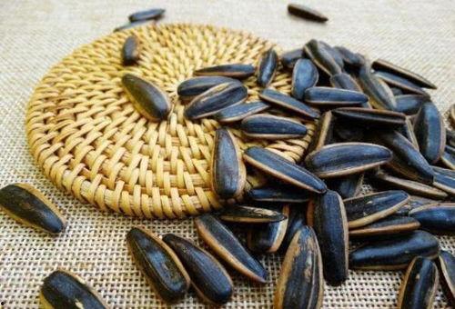 吃瓜子的瓜是什么瓜,探寻日常零食背后的瓜种奥秘