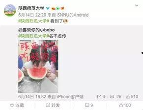 各大高校吃瓜网址,揭秘各大高校吃瓜网址背后的故事