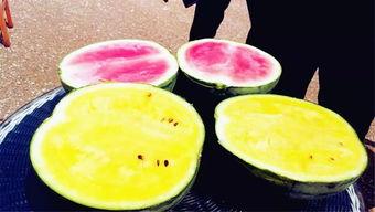 吃瓜爆料照片教程