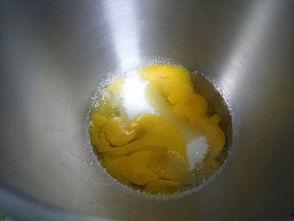 吃瓜的海绵,揭秘海洋中的“美食家”