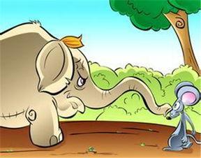 小老鼠吃瓜视频,趣味横生萌态十足