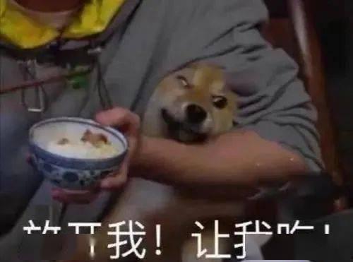 野生医生带你吃瓜,野生医生带你探索瓜果世界的神奇之旅