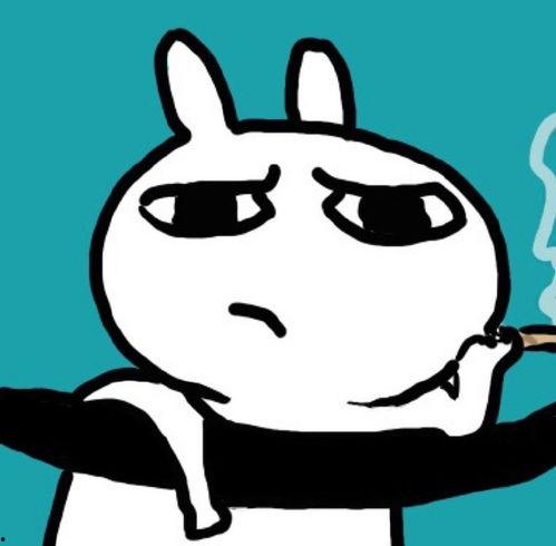 小兔吃瓜表情包可爱,萌态可掬，可爱至极