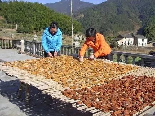 鄢陵吃瓜事件视频