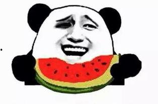 吃瓜群众阿坤,揭秘娱乐圈那些事儿